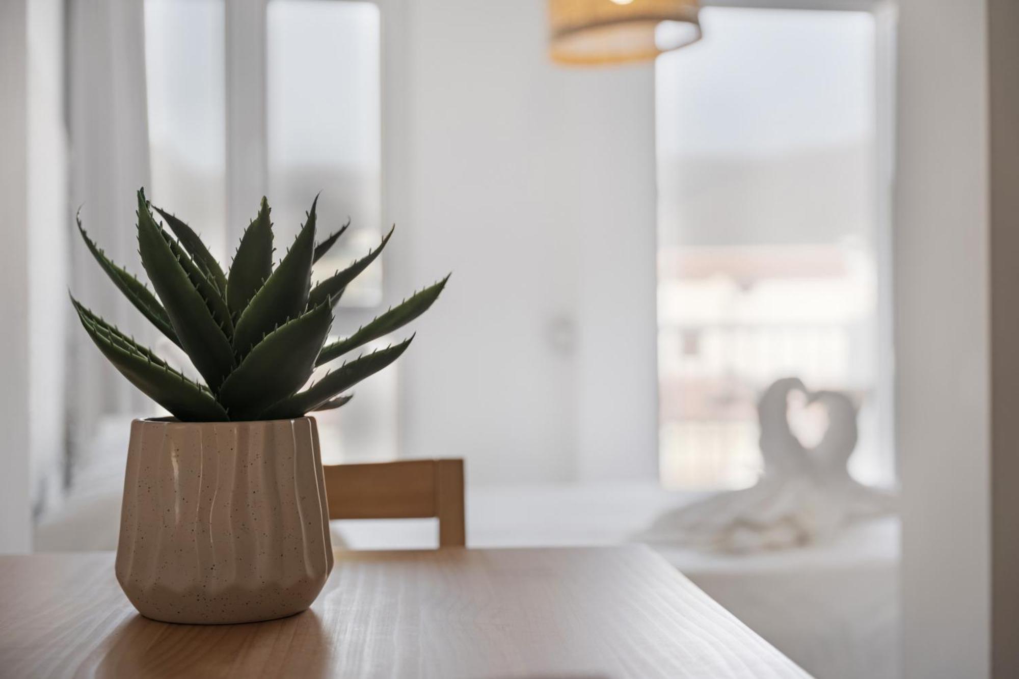 Apartamento La Pista Sur San Sebastián de la Gomera Exterior foto